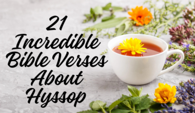 21 Incredible Bible Verses About Hyssop